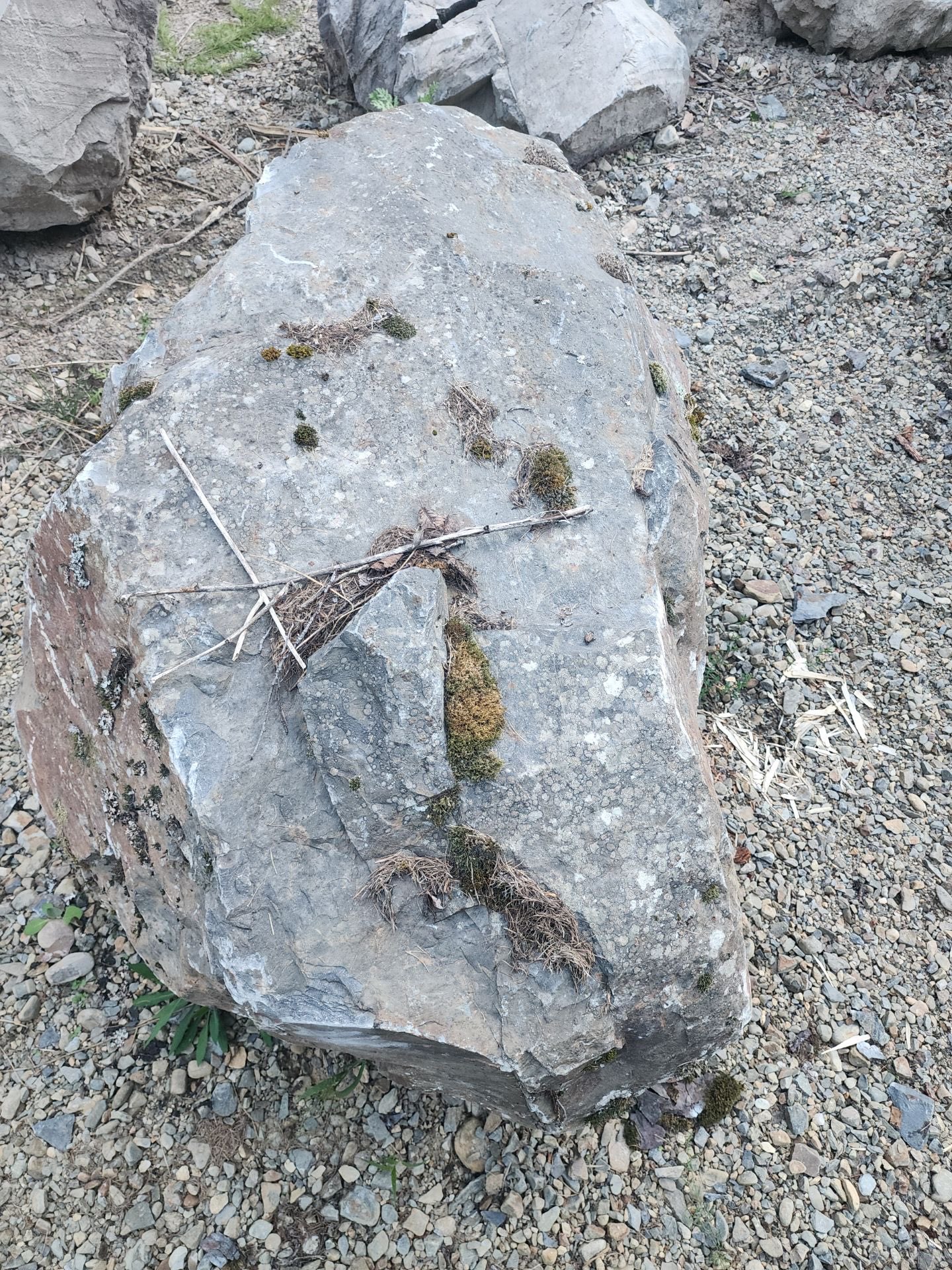 Boulder